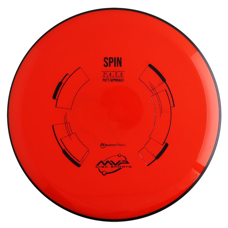 Neutron Spin